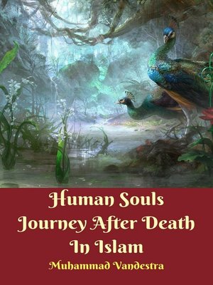 cover image of Human Souls Journey After Death In Islam